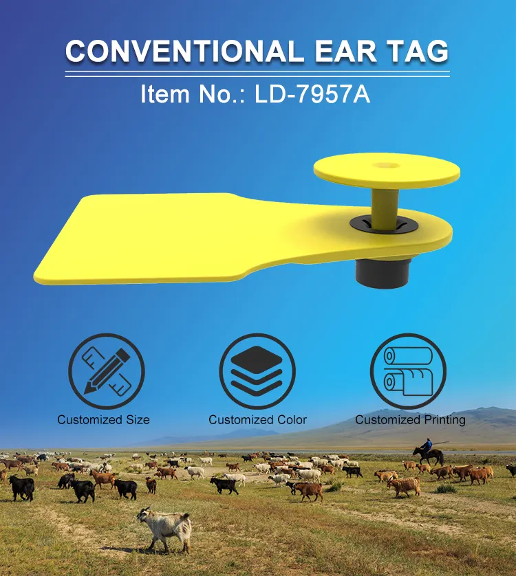 LD 7957A Ear tag 1