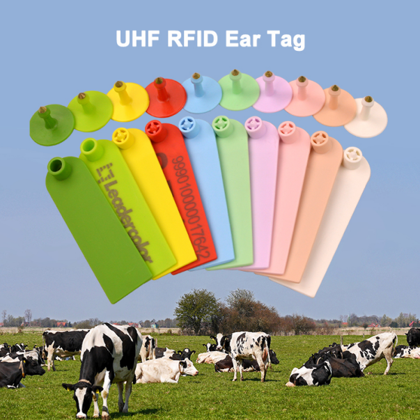 UHF RFID Tag Zòrèy